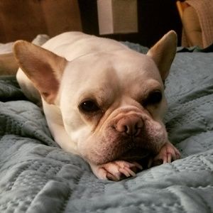 Meet your Posher, Tricia